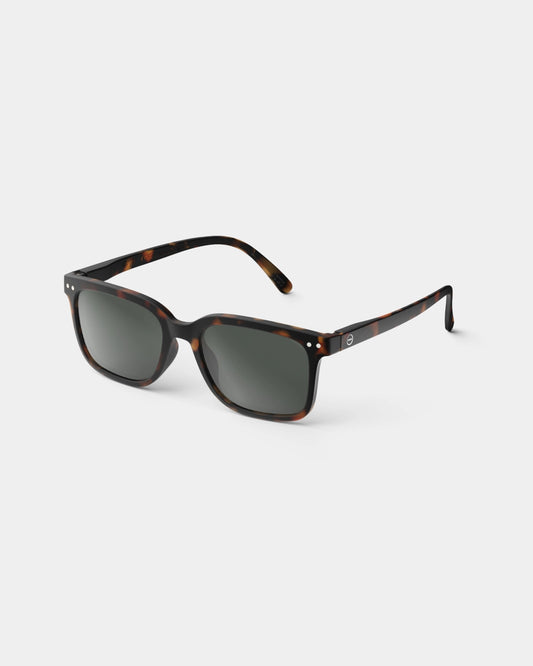Sun #N Tortoise