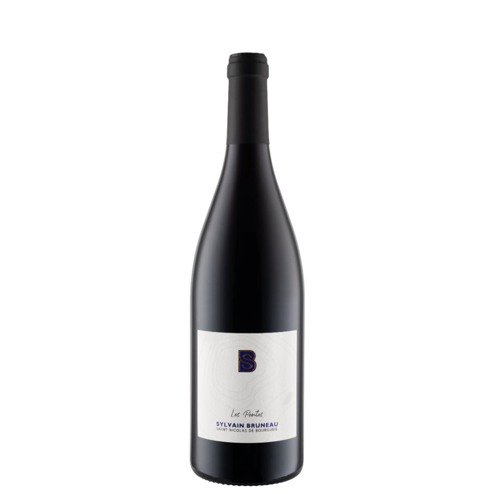 St Nicolas de Bourgueil AOP Red - Domaine Bruneau 2023