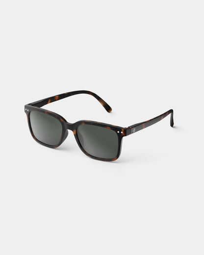 Sun #N Tortoise